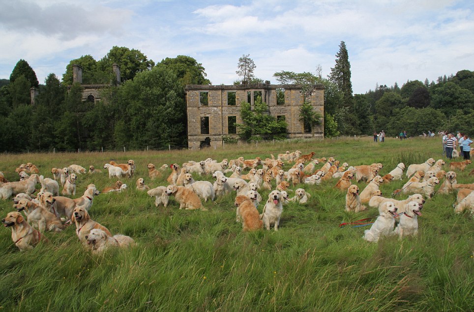 The Guisachan Gathering honors the birthplace of the breed.