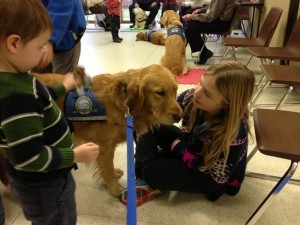 Goldens have a friendly personality.