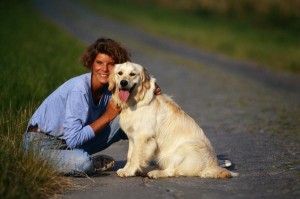 Labradors are naturally active dogs.