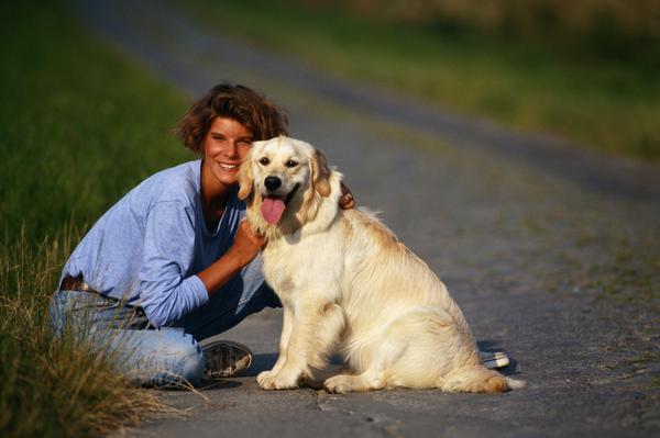 Labradors are naturally active dogs.