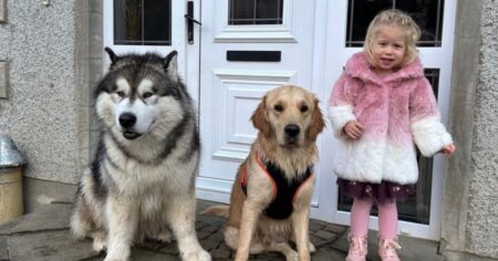 a golden retriever & little girl’s unbreakable bond