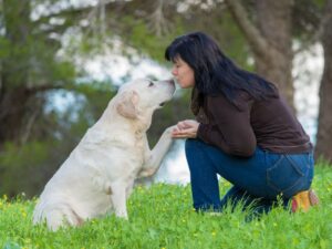 Dog Training With Rewards