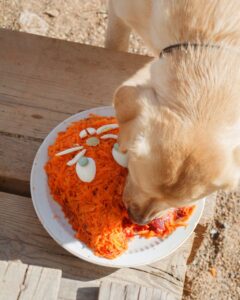 Carrot Recipes for Dogs