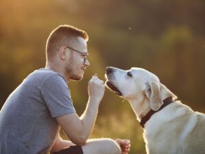 Enjoying Your Time with One Puppy