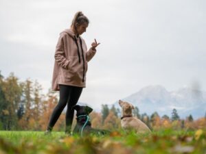 Pick the Right Goals for Your Dog