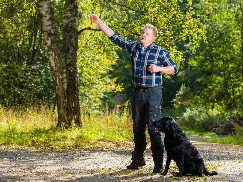 What Exactly is Modern Dog Training