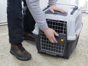 Car Crates