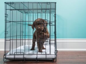 Crate Size