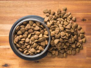 The Convenience of Kibble