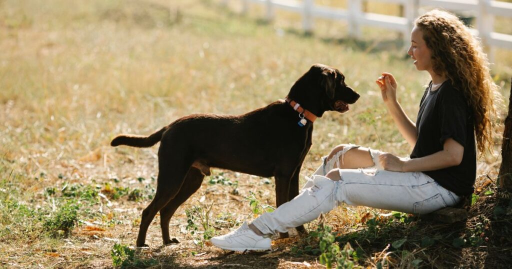 Teach A Dog To Take A Treat Gently in Six Easy Steps