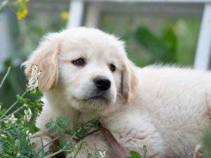 6 Potty Training Mistakes
