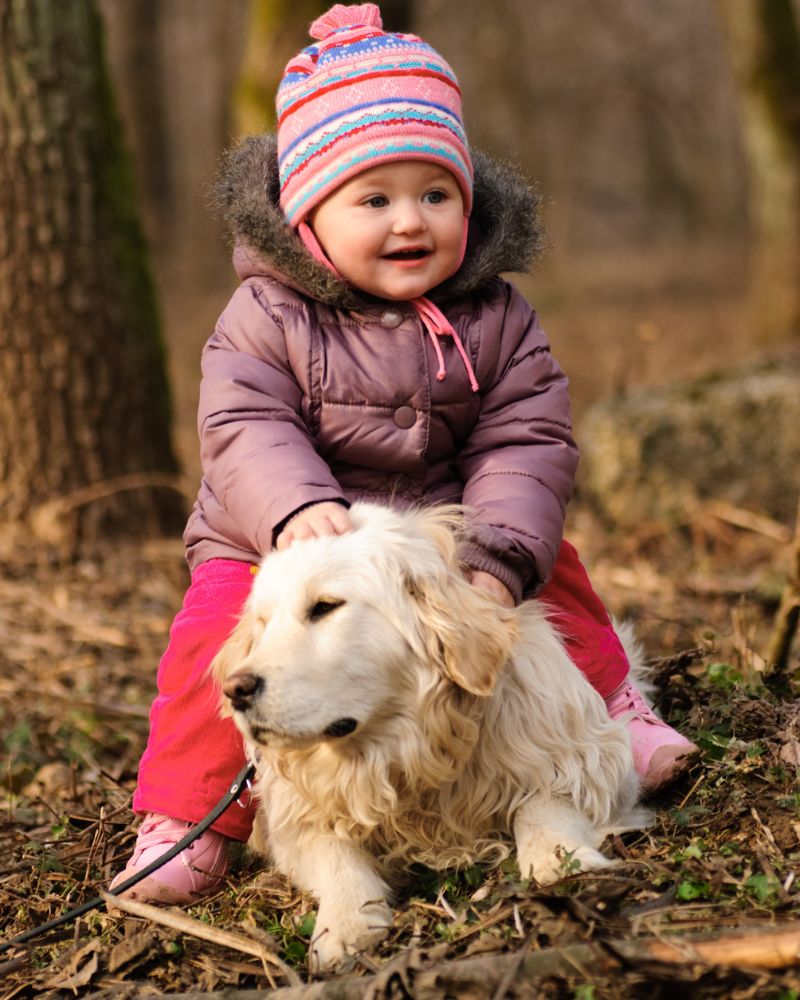 Are Golden Retrievers Good With Babies