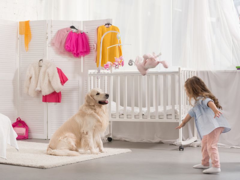 Are Golden Retrievers Good With Toddlers
