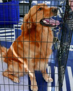 Crate