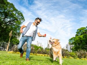Facts Every Potential Golden Retriever Parent Has To Know