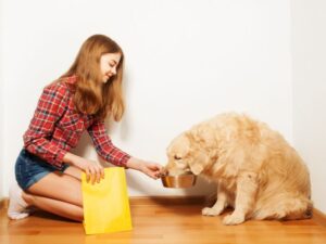 Feed Them A Quality Dog Food