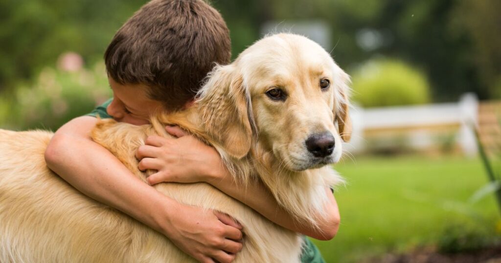 Golden Retrievers & Kids