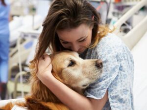 How You Can Help