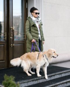 What Do Therapy Dogs Actually Do