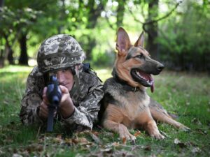 Dog Names From Military Guns