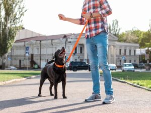 Improving Engagement