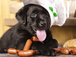 Can Dogs Eat Cooked Pork Bones