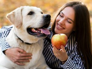 Fruit And Dogs