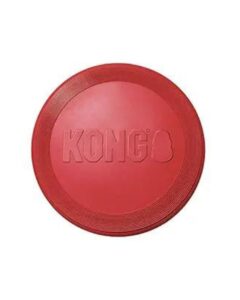 Kong Flyer Dog Toy