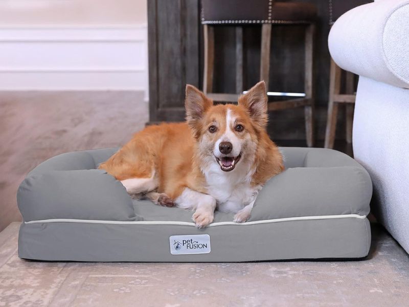 Petfusion Ultimate Pet Bed & Lounge