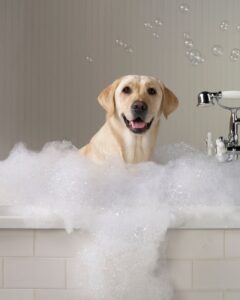 Puppy Shampoo