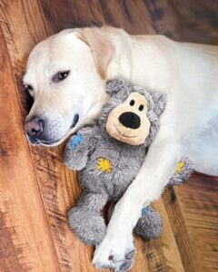 The Kong Wild Knots Range